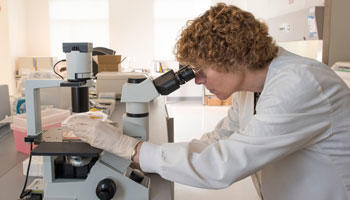 Mason researcher Ginny Espina looks through a microscope in a lab